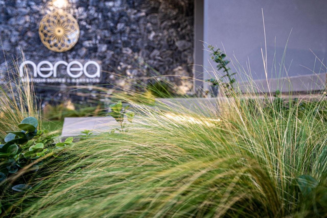 Nerea Boutique Suites Karystos Екстер'єр фото